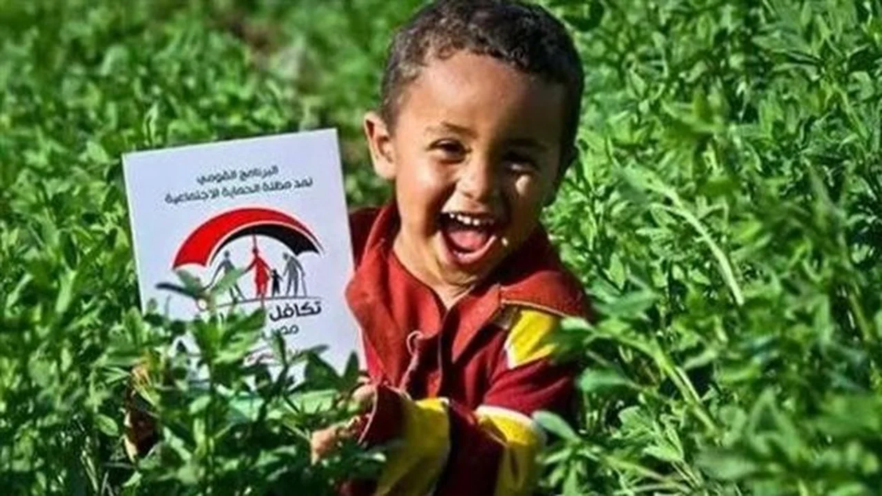 صندوق دعم.. خطوات الاستعلام عن تكافل وكرامة يونيو 2026